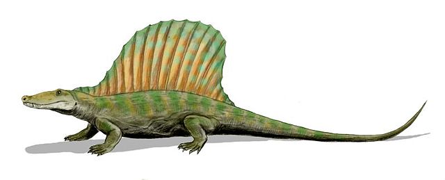 File:Secodontosaurus BW.jpg
