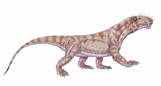 File:Biarmosuchus.jpg