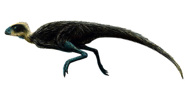 File:Pisanosaurus.jpg