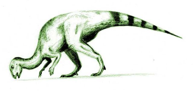 File:Hypsilophodon.jpg