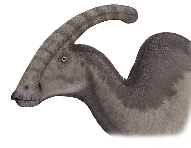 File:Parasaurolophuspic steveoc.jpg