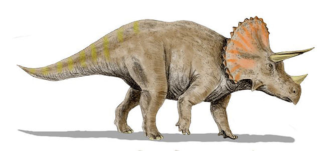 File:Triceratops BW.jpg
