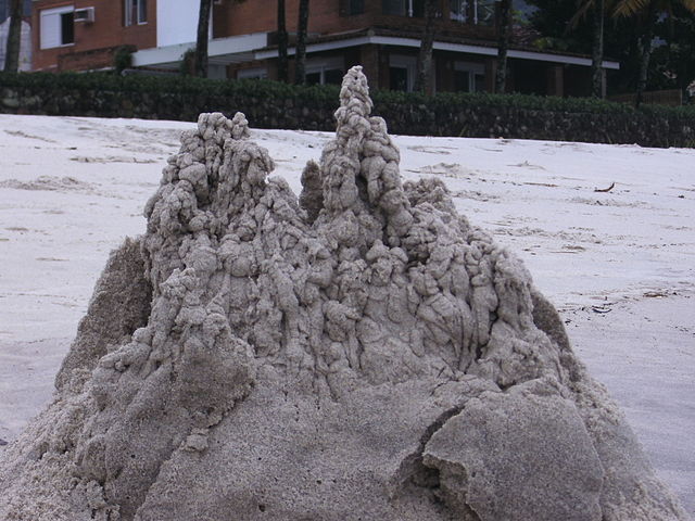 File:Sand castle in Maresias, Brazil.JPG