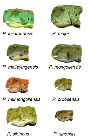 File:Psittacosaurus all BW.png