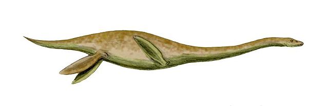 File:Mauisaurus BW.jpg