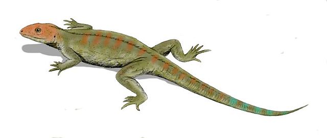 File:Hylonomus BW.jpg