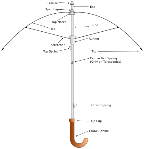 File:Parts of an Umbrella.svg
