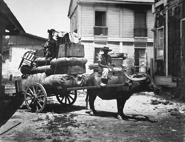 File:Carabao Cart.jpg