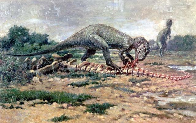 File:Allosaurus4.jpg