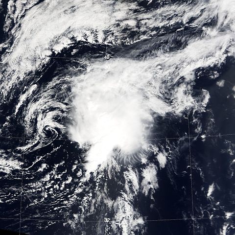 File:TD ten 2004.jpg