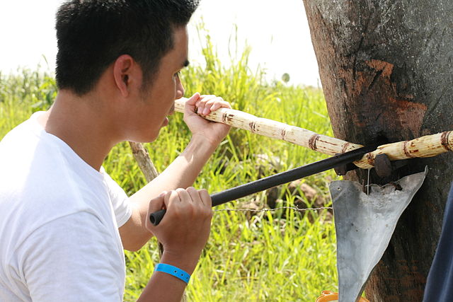 File:Sugarcane drink.JPG