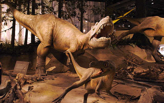 File:Albertosaurus.jpg