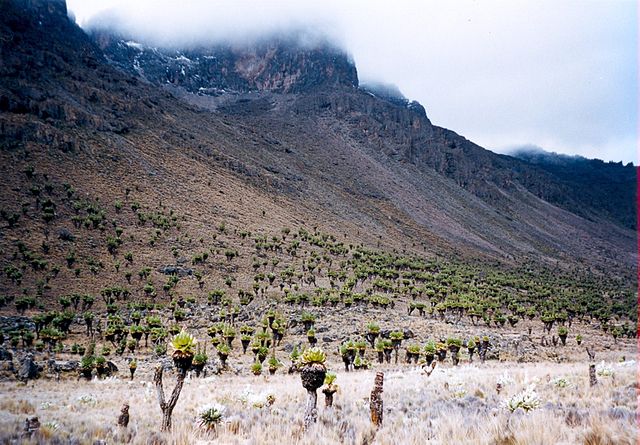 File:MtKenyaMackinder.jpg