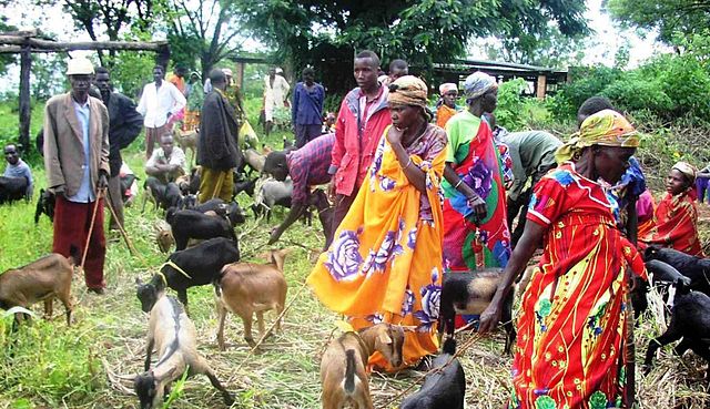 File:Karuzi Burundi goats.jpg