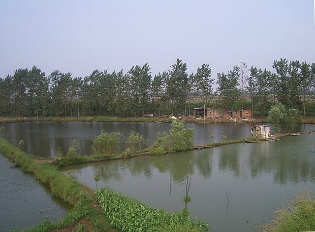 File:Daye-pond-system-fishermen-0078-rotated.jpg