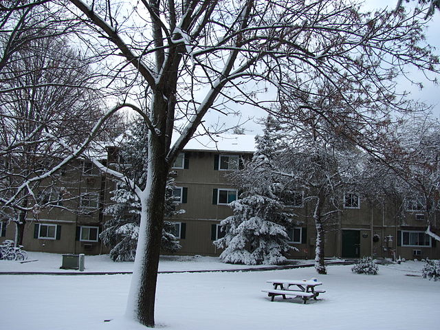 File:Winter morning US.jpg