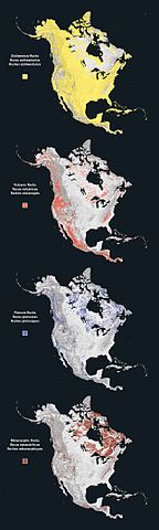 File:North america rock types.jpg