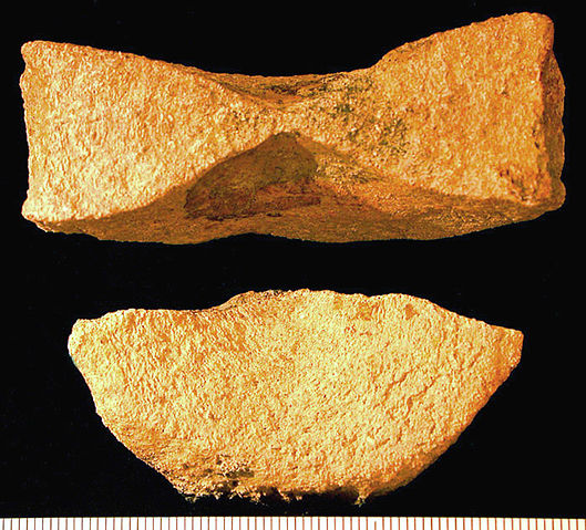 File:Ichthyosaur01.jpg