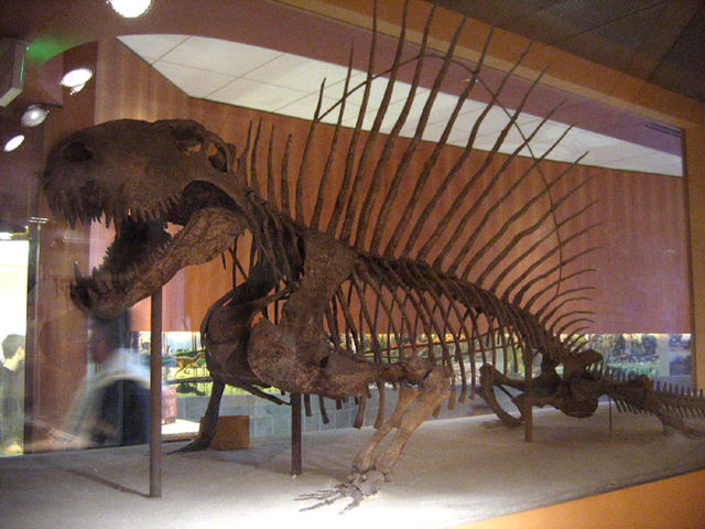 File:Dimetrodon.jpg