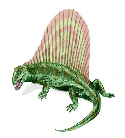 File:Dimetrodon BW.jpg