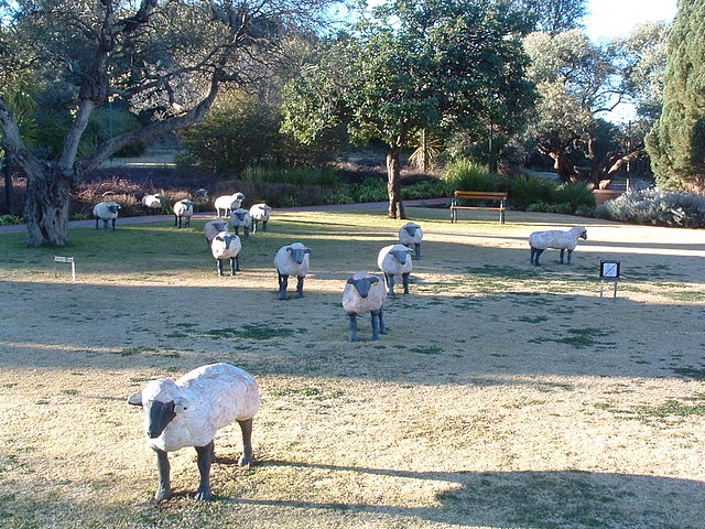 File:Bloemfontein02.jpg.JPG