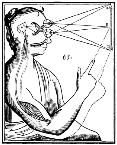 File:Descartes mind and body.gif