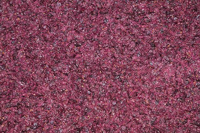 File:Grapes Fermenting - John Kosovich Wines.jpg