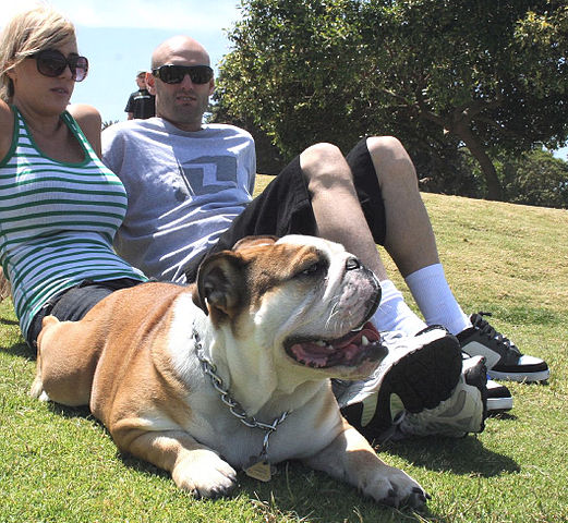 File:Family pet.jpg