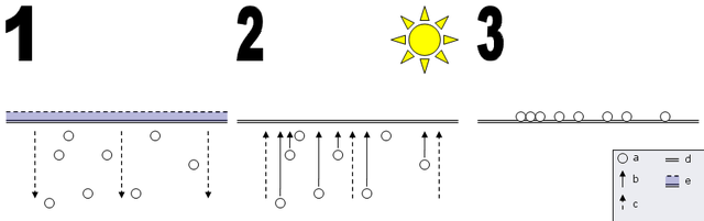 File:Salinity from irrigation.png