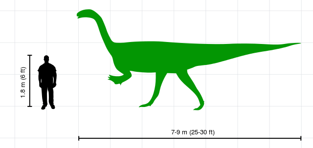 File:Human-plateosaurus size comparison.svg