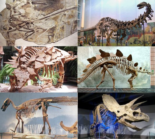 File:Various dinosaurs2.png