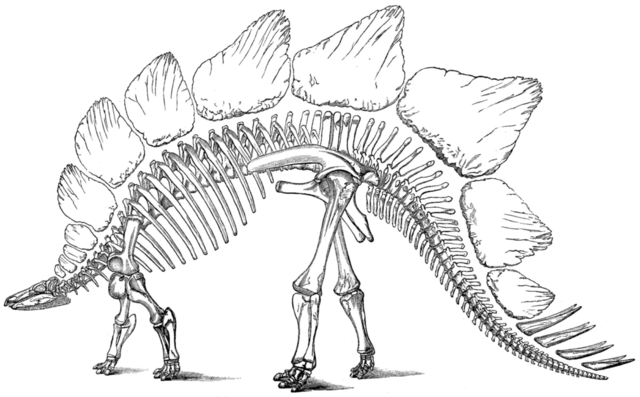 File:Stego-marsh-1896-US geological survey.png