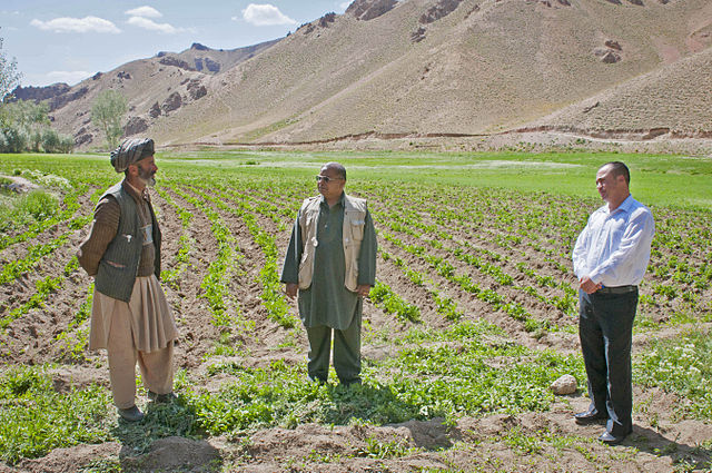 File:People of Bamyan-6.jpg