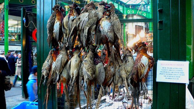 File:Game birds Borough Market.jpg