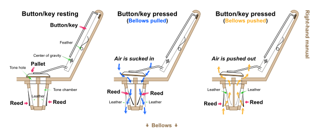 File:Accordion button mechanism.svg