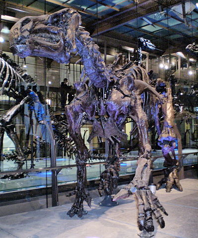 File:Iguanodon de Bernissart IRSNB 01.JPG