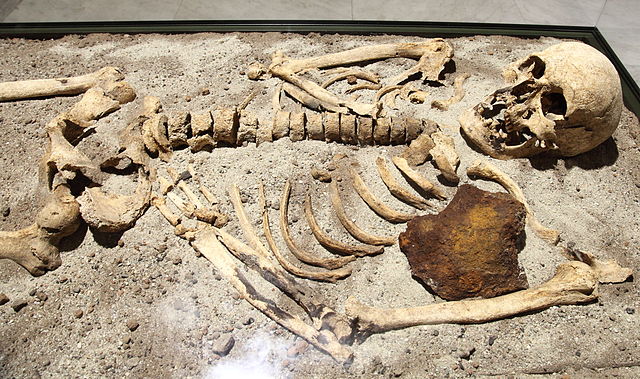 File:Vampire skeleton of Sozopol in Sofia PD 2012 06.JPG