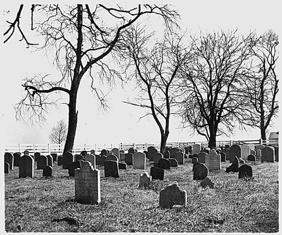 File:Amish cemetery.gif