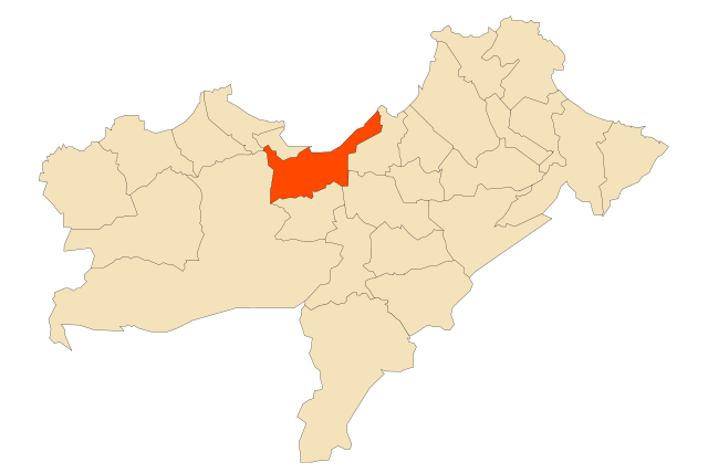 File:DZ-3101.svg