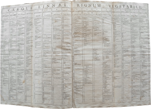 File:SN1 Regnum Vegetabile.png
