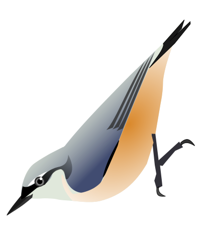 File:SittaHimalayensis.svg
