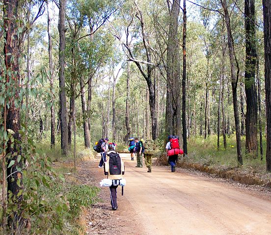 File:Hike fire trail.jpg