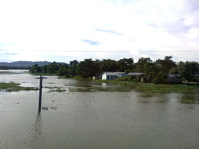 File:Brahmaputra Plains in Goalpara District of Assam 857.jpg