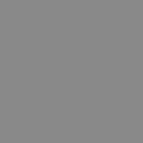File:BSicon leer+BS.svg