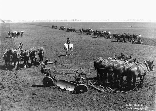File:Disc ploughs from The Powerhouse Museum Collection.jpg