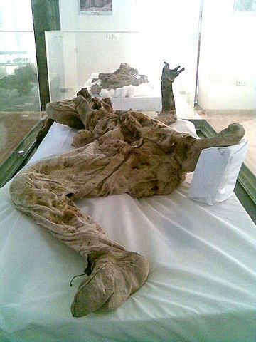 File:Saltman no4.jpg