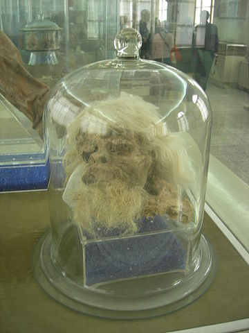 File:Saltman1.jpg