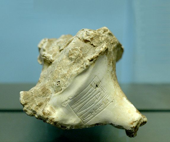 File:Murex Rimush Louvre AO21404.jpg