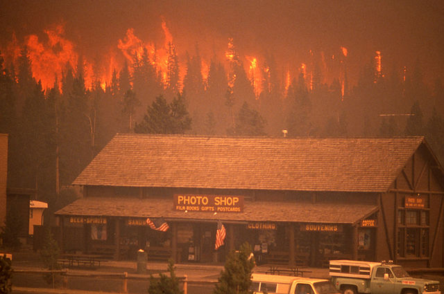 File:Crown fire Old Faithful.jpg