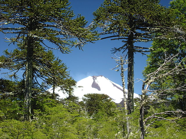 File:Conguillio llaima.jpg